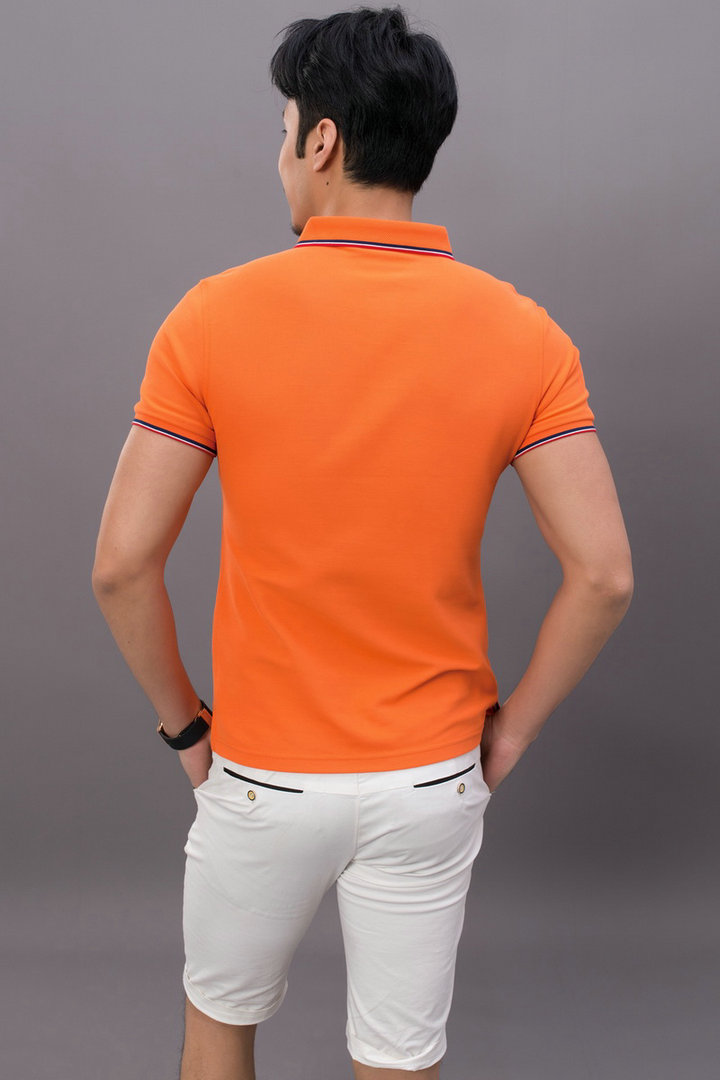 高品质铜氨纤维POLO衫5